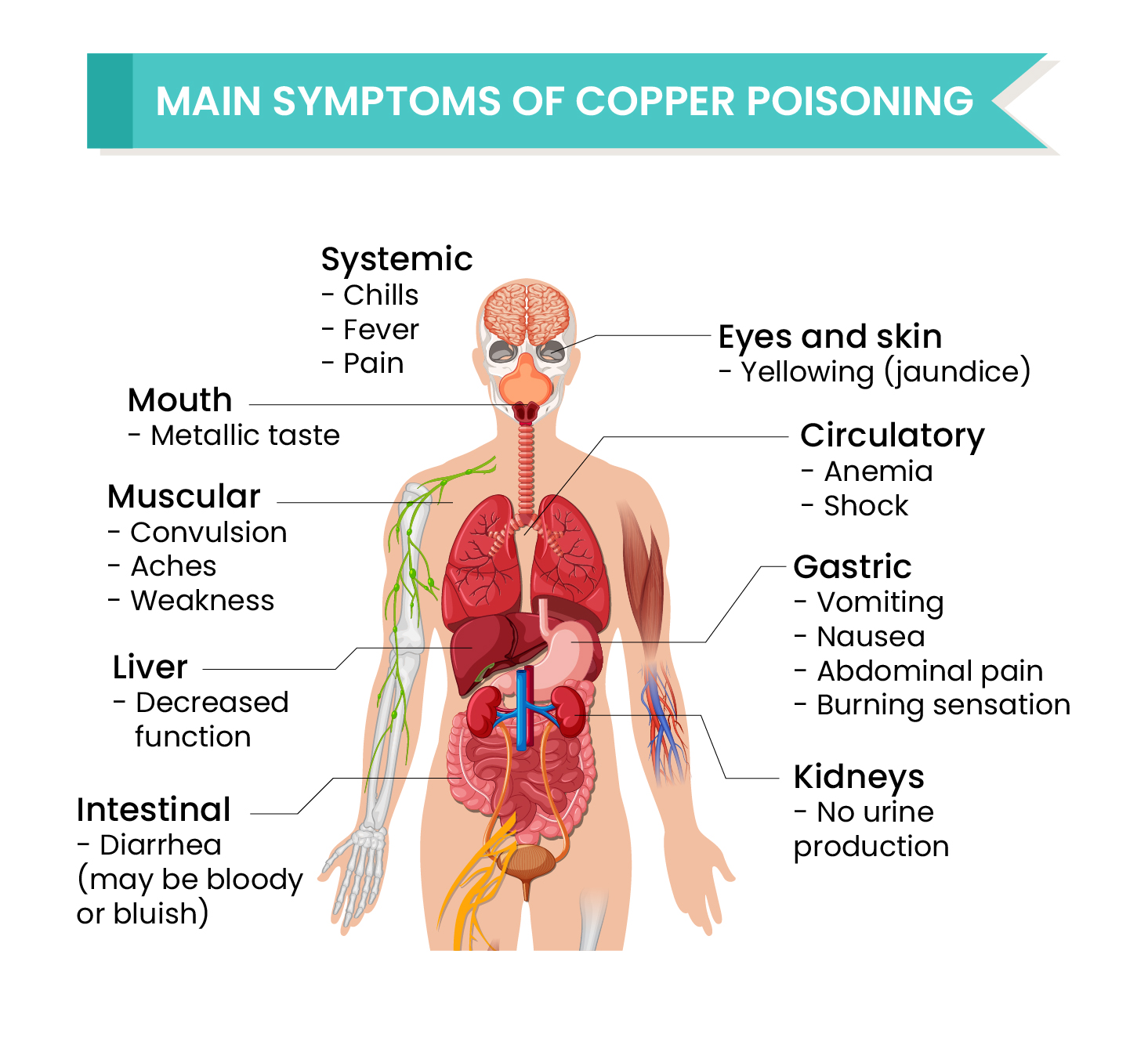 Copper Poisoning Effects